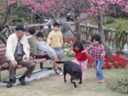 mido sakura hill okinawan kids