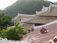 Rooflines and shi-sa in Okinawa