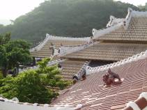 Rooflines and shi-sa in Okinawa
